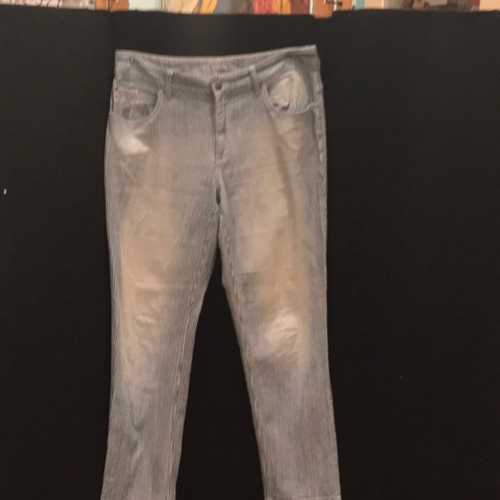 Chicos soft pinstripe .05 plantium jeans